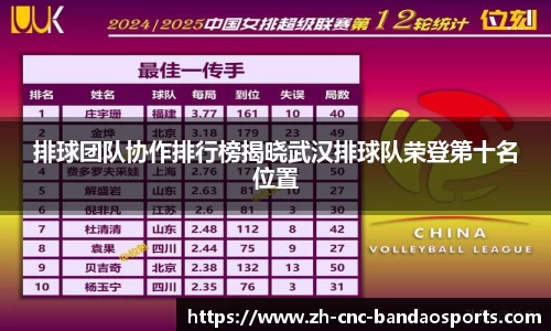 排球团队协作排行榜揭晓武汉排球队荣登第十名位置